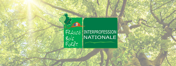 France Bois Forêt – une filière responsable, qui gère durablement ses forêts, sa matière première, tout en relevant les défis d’aujourd’hui et de demain