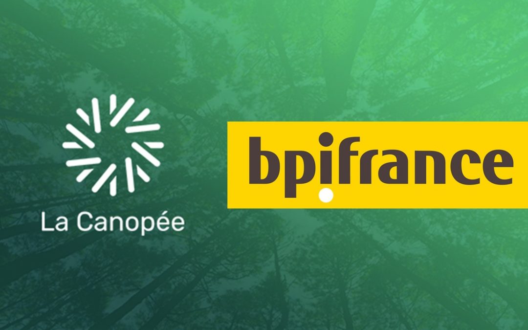 Bpifrance sera au jury National du concours d’innovation pour la forêt et le bois La Canopée.
